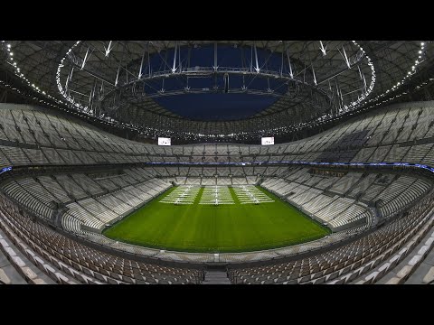 孙颖莎蛇年,开门红,胜利喜讯,世界杯预测,2026世界杯,足球预测,赛果分析,球队动态